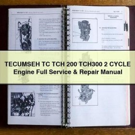 Reparaturhandbuch für TECUMSEH TC TCH 200/300 2-Takt-Motoren