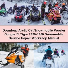 Arctic Cat Schneemobil Prowler, Cougar, El Tigre (1990-1998) - Werkstatt Handbuch