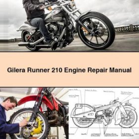 Gilera Runner 210 Motor Reparaturhandbuch PDF