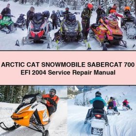 ARCTIC CAT Snowmobile SABERCAT 700 EFI 2004 Service Repair Manual