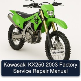 Kawasaki KX250 2003 Factory Service Repair Manual