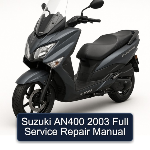 Suzuki AN400 2003 Full Service Repair Manual