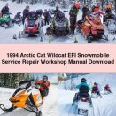 1994 Arctic Cat Wildcat EFI Snowmobile Service Repair Workshop Manual