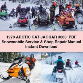 1979 Arctic CAT JAGUAR 3000 Snowmobile Service Repair Manual