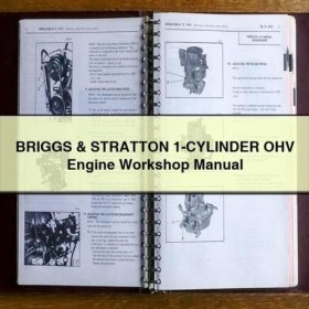 Briggs & Stratton Einzylinder-OHV Motor Werkstatt Handbuch PDF Download