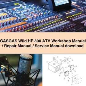 GASGAS Wild HP 300 ATV Werkstatt-Handbuch (PDF)