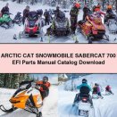 ARCTIC CAT Snowmobile SABERCAT 700 EFI Parts Manual Catalog