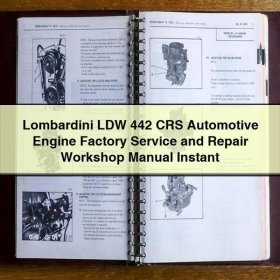 Lombardini LDW 442 CRS Werkstatt Handbuch