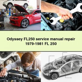Odyssey FL250 Servicehandbuch 1979-1981 PDF Download