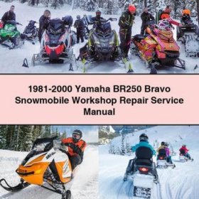 Yamaha BR250 Bravo Werkstatt-Handbuch (1981-2000) PDF Download