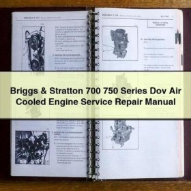Briggs & Stratton 700/750 Serie Dov Luftgekühlte Motor Service- und Reparaturhandbuch PDF Download