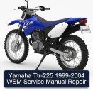 Yamaha Ttr-225 1999-2004 WSM Service Manual Repair