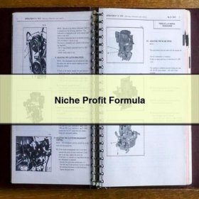 Nischen-Gewinn-Formel