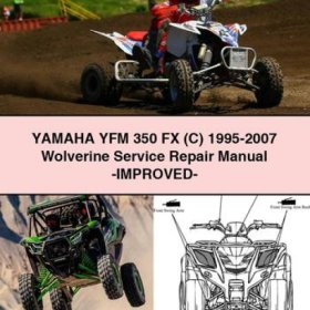 Yamaha Wolverine (YFM 350 FX) Werkstatthandbuch 1995-2007 (verbessert) - PDF Download