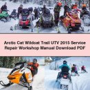 Arctic Cat Wildcat Trail UTV 2015 Service Repair Workshop Manual