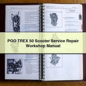 PGO TREX 50 Roller Werkstatt Handbuch