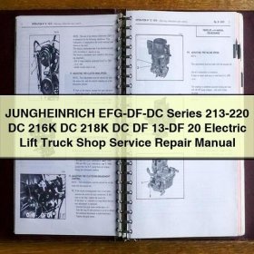 Jungheinrich EFG-DF-DC Serie 213-220, 216K, 218K, DF 13-DF 20: Werkstatt- und Reparaturhandbuch