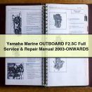 Yamaha Marine OUTBOARD F2.5C Full Service & Repair Manual 2003-ONWARDS