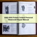 2002-2004 Polaris Octane Personal Watercraft Repair Manual