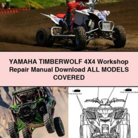Yamaha Timberwolf 4x4 Werkstatt-Handbuch (PDF)