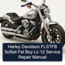 Harley Davidson FLSTFB Softail Fat Boy Lo 12 Service Repair Manual