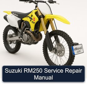 Suzuki RM250 Service Repair Manual