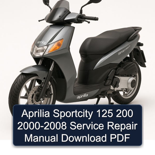 Aprilia Sportcity 125 200 2000-2008 Service Repair Manual Download PDF