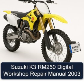 Suzuki K3 RM250 Digital Workshop Repair Manual 2003