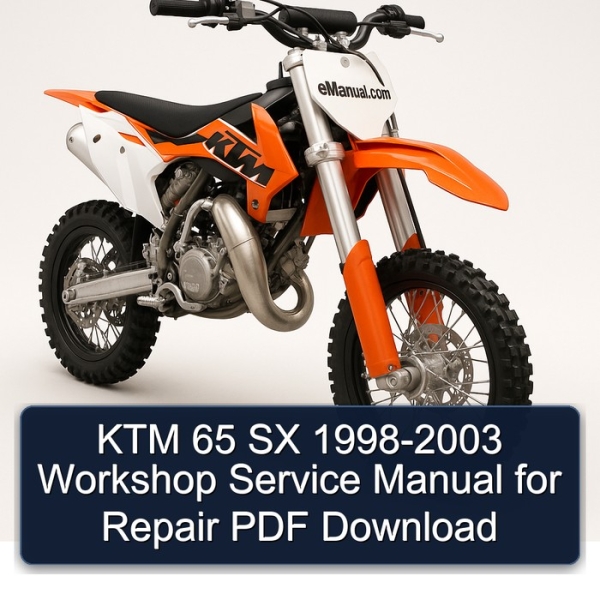 KTM 65 SX 1998-2003 Workshop Service Manual for Repair PDF Download