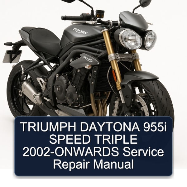 TRIUMPH DAYTONA 955i SPEED TRIPLE 2002-ONWARDS Service Repair Manual