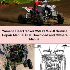 Yamaha BearTracker 250 YFM-250 Service- und Benutzerhandbuch (PDF)