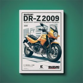 Suzuki DR-Z250 Werkstatt- und Reparaturhandbuch 2001-2009