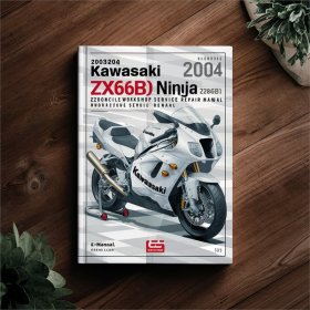 Kawasaki ZX636B1 (2003-2004) Werkstatt-Handbuch