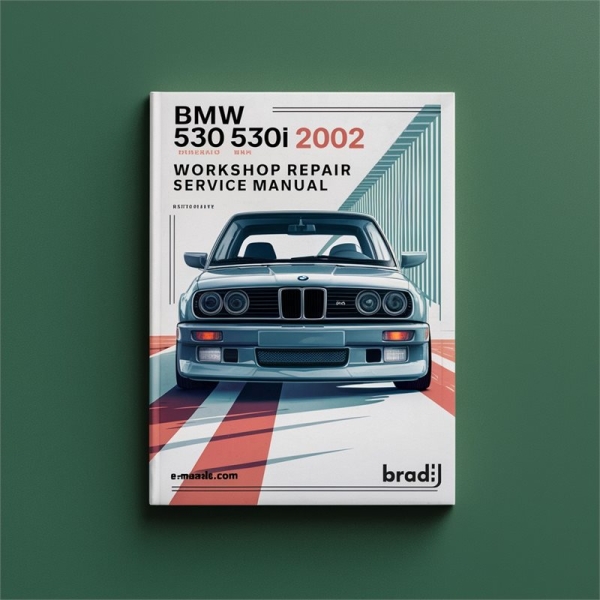 BMW 530i (2002) Werkstatt-Reparaturhandbuch