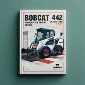 Bobcat 442 SN 528911001 & Höher - Service- und Reparaturhandbuch, Edition 2007