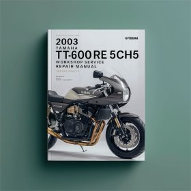2003 Yamaha TT600RE 5CH5 Workshop Service Repair Manual
